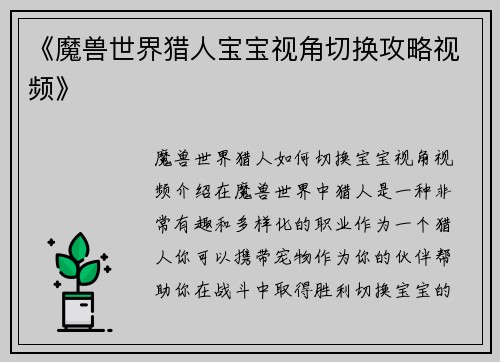 《魔兽世界猎人宝宝视角切换攻略视频》
